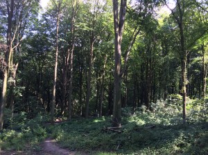 2014-08-23 13.32.20 HDR