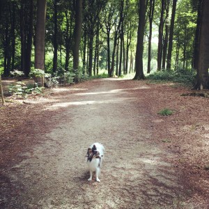 2014-08-23 13.44.54-1