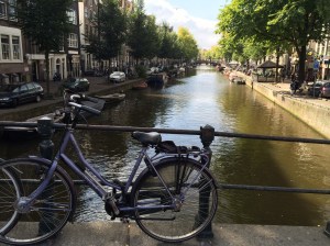 2014-09-14 12.34.53 HDR