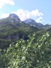 2015-08-18 16.54.25 HDR