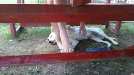 2015-08-20 22.08.11-1