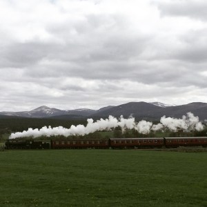 2015-05-13 15.16.50-1