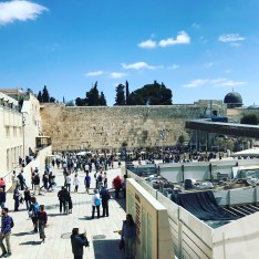 2018-03-25 12.46.27-1